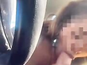 Non può permettersi il taxi allora succhiamelo zoticona