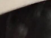 Pompino amatoriale con schizzata sul muso della fidanza