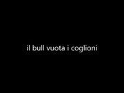 Il bull vuota le palle nella fica di mia moglie