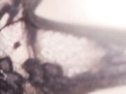 Affondo il cazzo tra le cosce di mia moglie