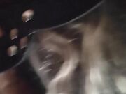 Moglie matura scopata forte a pecora