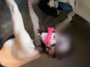 La mia dolce cagnetta