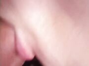 Le piace tanto succhiare