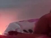 Riprendendo i miei amici