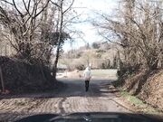 Milf esibizionista mostra il culo outdoor