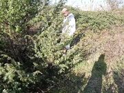 Se hai bisogno di aiuto ci penso io a svuotarti