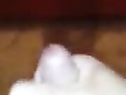 mia moglie con la sua amica si leccono (carolina)