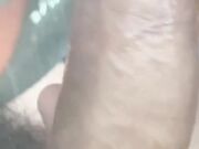 Che porca mia suocera