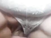 Grande fuga di mia suocera