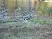 Riempimi tutta - scopata a pecora al fiume