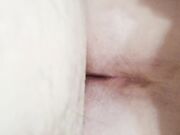 bocchino