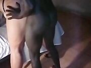 A pecorina col cazzone nero che la monta