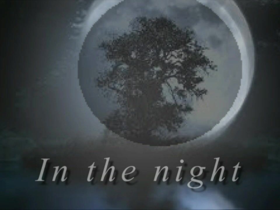 Nella notte, per strada.