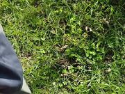 Ti ho fatto inculare da un sacco di uomini