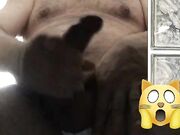 Dedicato a mia suocera