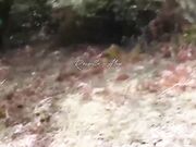Avventura col guardone nel bosco