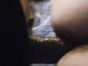 Trans domina troia