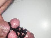 Cazzo duro plugin