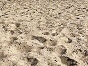 Coppia naturista italiana scopa in spiaggia