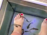 Piedi Milf
