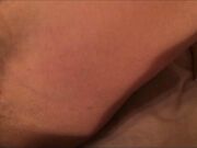 Milfona inculata