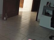 Sborrata
