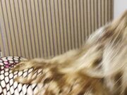 Samantha Pompinara fa la puttanella