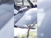 Moglie cuckold sega esibizionista in macchina