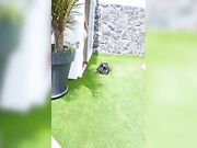 Due puttanelle e il manutentore della piscina