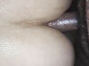 Hairy dick penetrated deep in fat bitch asshole