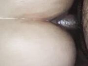 Hairy dick penetrated deep in fat bitch asshole