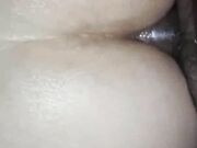 Hairy dick penetrated deep in fat bitch asshole
