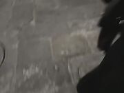 Moglie esibizionista all'aperto mostrando culo e fica