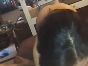Mamma quanto è porca la mia troia