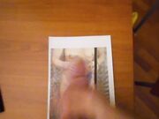 Dotato 1