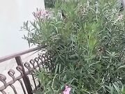 Esibizionismo in giardino coppia italiana