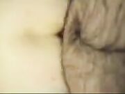 Cerco singola veneta