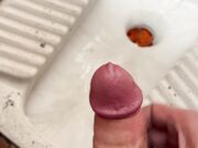 PUZZOLO e il lurido cesso pubblico
