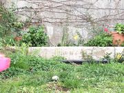 Calpesta guscio di lumaca con tacchi alti in giardino