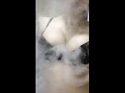 Eleonora tettona fuma