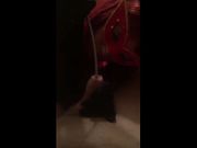 Mio marito è proprio un cornuto