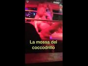 La mossa del coccodrillo