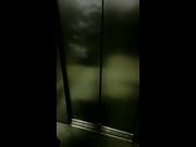 Si sditalina nell'ascensore del centro commerciale