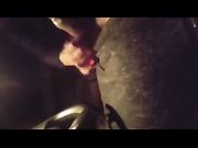 bocchino escort
