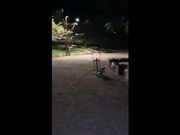 Italiana esibizionista nuda al parco di notte