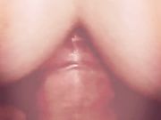 ANAL P. O. V.