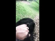 Scopata a pecorina in un parco pubblico