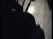 Moglie porca scopata sulla sedia in cucina