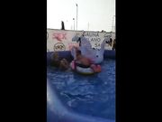 Bergamosex rizzando cazzi in piscina