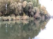 Un bel pompino in riva al lago con ingoio